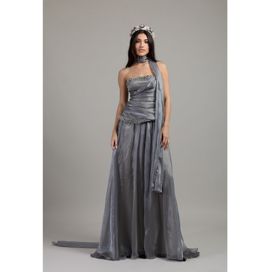 Silver Veil Crystal Dress