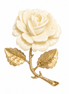 The Ivory Bloom Brooch