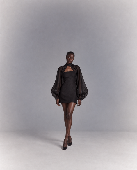 Midnight Opera Dress