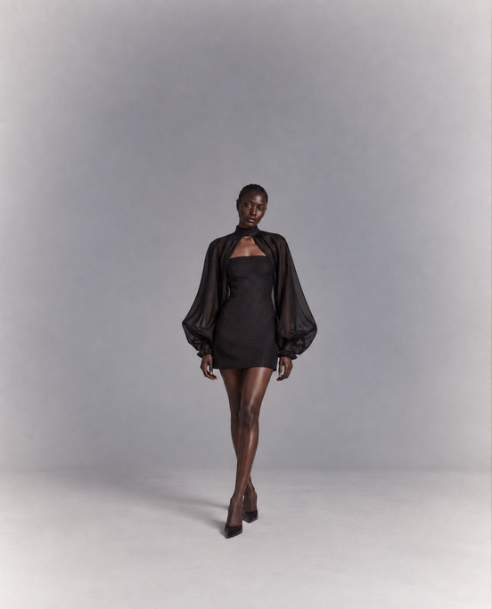 Midnight Opera Dress