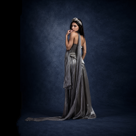 Silver Veil Crystal Dress