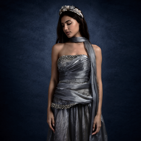 Silver Veil Crystal Dress