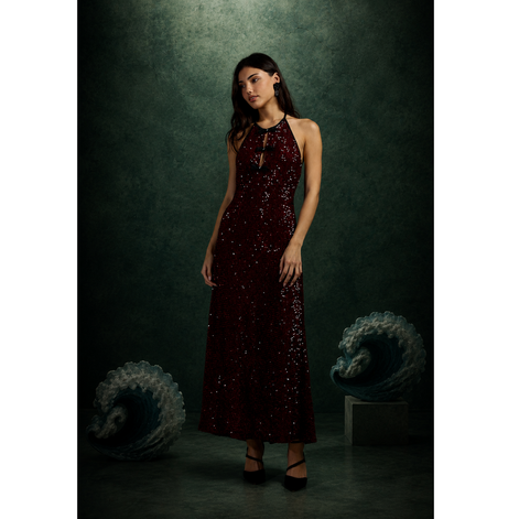 Crimson Starlight Dress